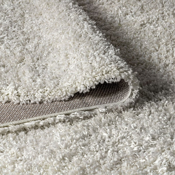 Mercer Shag Plush Area Rug